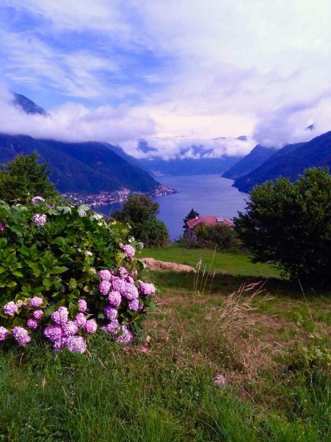 Holiday Home Liliana Faggeto Lario Exteriör bild